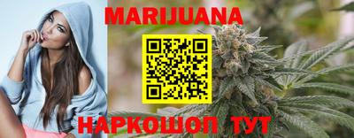 тгк Кингисепп