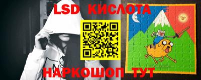 прущие грибы Кимры