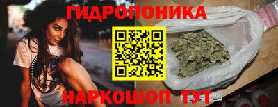 тгк Кингисепп