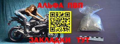 тгк Кингисепп