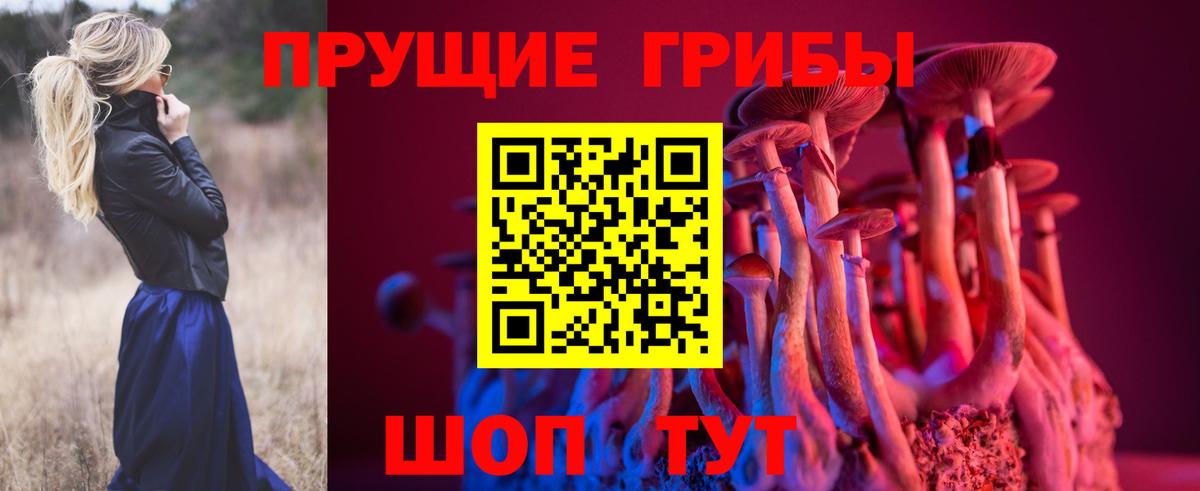 Галлюциногенные грибы MAGIC MUSHROOMS  Вход с VPN  Кимры 